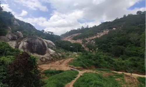 Khoi to vu an hon 31.000m2 rung bi “bam nat” tai Vung Tau