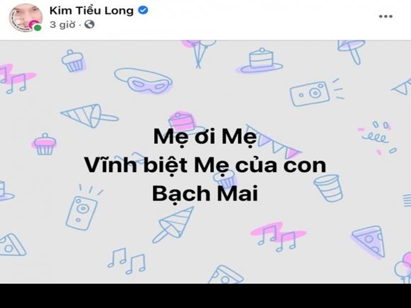 Viet Huong nua dem den benh vien lo hau su nghe si Bach Mai-Hinh-8