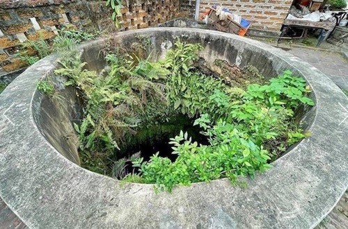 Buc xuc lam hai Tet o lang co: To trat gieng, dien canh “chim chuot“-Hinh-2