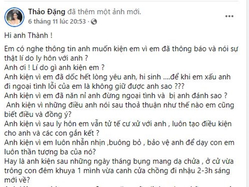 Dang Thu Thao vui ve xuat hien sau khi bi chong cu doa kien-Hinh-6