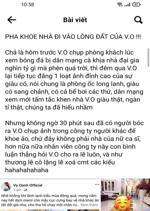 Vy Oanh phan phao khi bi nghi muon biet thu song ao-Hinh-4