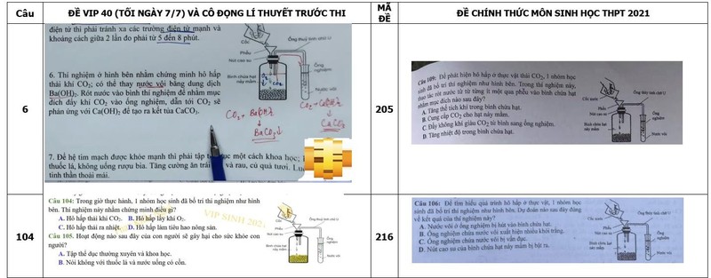 Bo GD&DT dang xem xet trach nhiem ca nhan lien quan vu de thi Sinh hoc