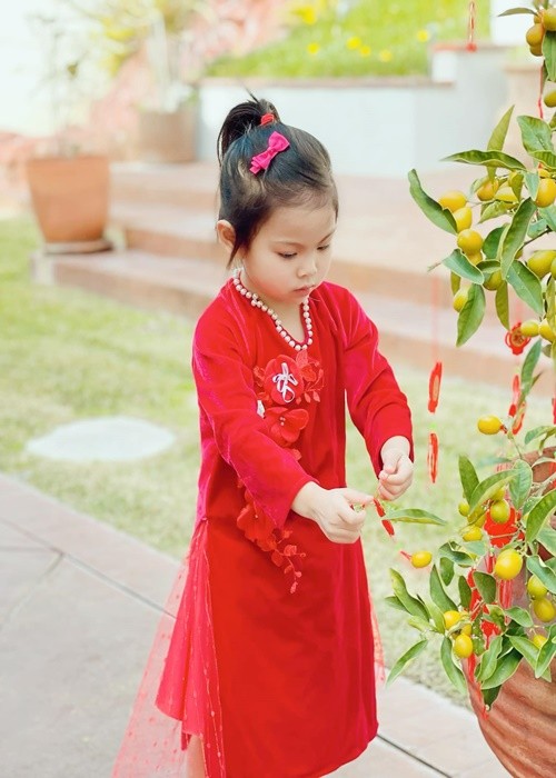 Dien ao dai don Tet, nhoc ti nha sao Viet bieu cam hai huoc-Hinh-10