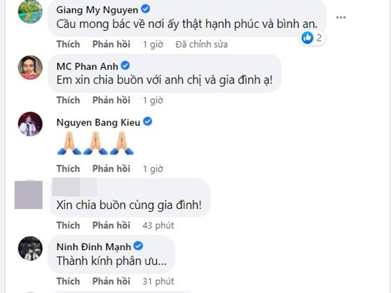 Sao Viet chia buon cung Thanh Lam khi me chong qua doi-Hinh-3