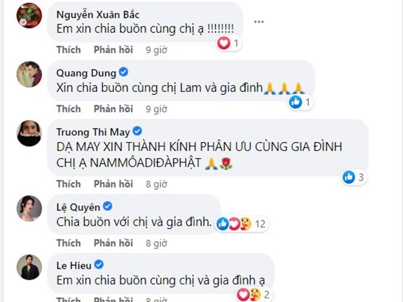 Sao Viet chia buon cung Thanh Lam khi me chong qua doi-Hinh-4