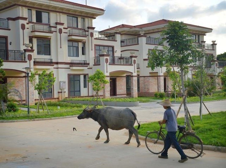 Dieu chua biet ve dai gia bo tien xay 200 biet thu tang ca lang-Hinh-3