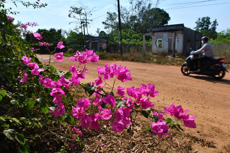 Nhung nong dan bong thanh ty phu o vung du an san bay Long Thanh-Hinh-9