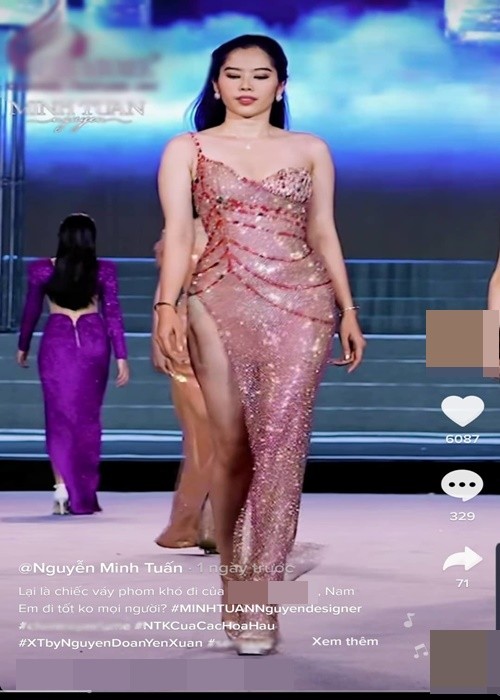 Nam Em noi gi khi truot giai phu dau tien cua Miss World Vietnam?-Hinh-5