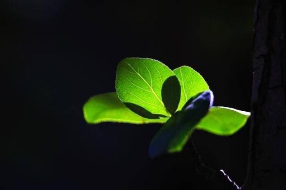 Song huong toi cai chet khien sinh menh cua chung ta hoan thien hon!