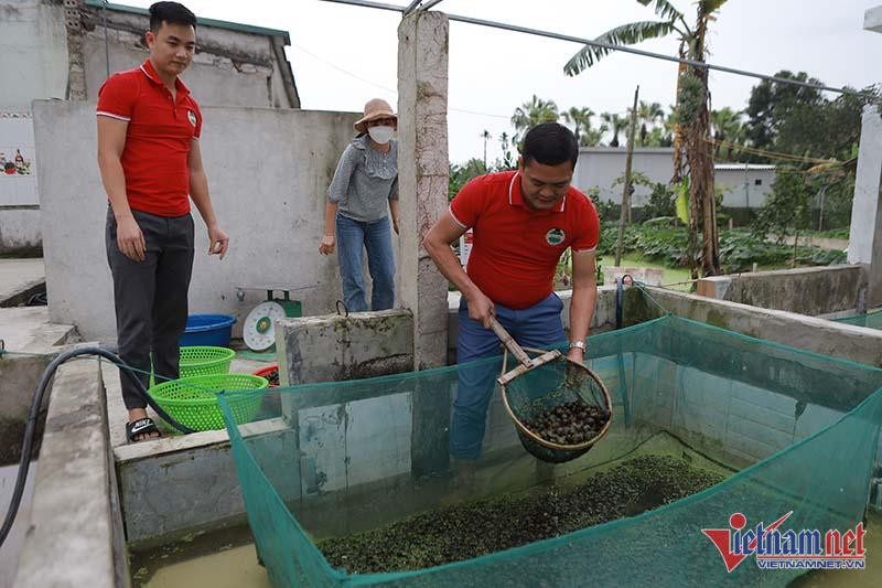 Di an goi mon bi ‘het hang’, buc minh bo ve que thanh ty phu oc nhoi