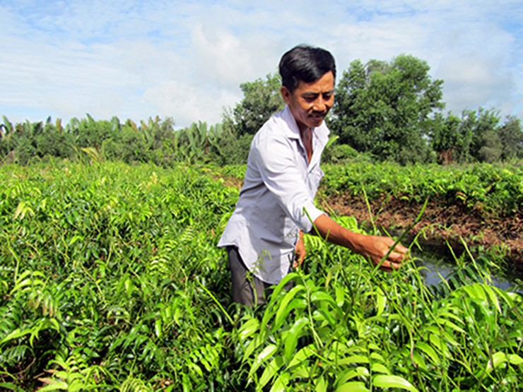 Thu moc dai an “cuu doi” bong thanh dac san-Hinh-9