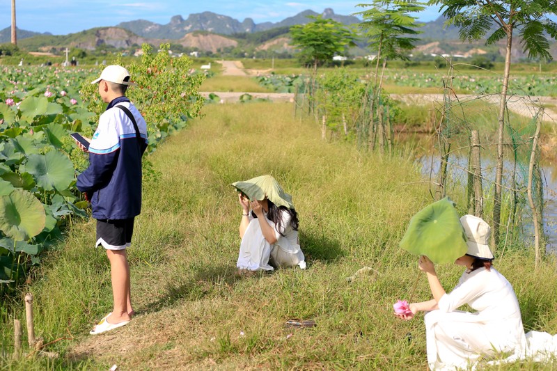 Nong 38 do C, gioi tre van do di chup anh o dam sen-Hinh-12