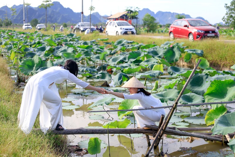 Nong 38 do C, gioi tre van do di chup anh o dam sen-Hinh-7