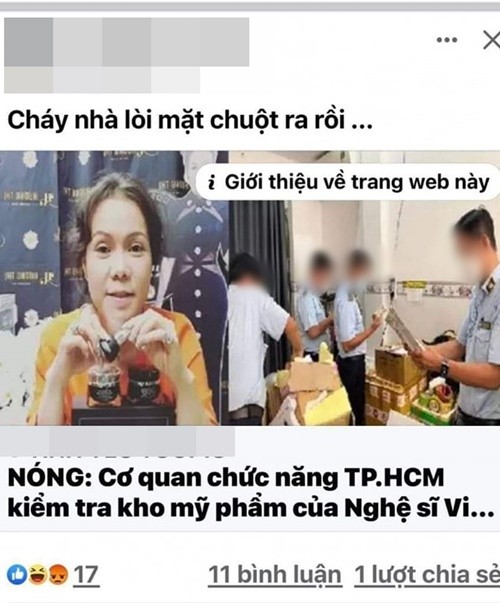Bi don kinh doanh hang rom, Viet Huong nho phap luat can thiep-Hinh-2