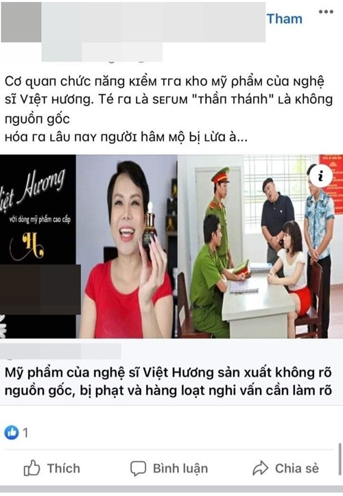 Bi don kinh doanh hang rom, Viet Huong nho phap luat can thiep-Hinh-3