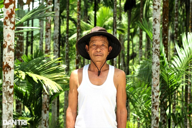 Trong cau kin doi, vuon dep tua phim truong, dan dem tien deu tay-Hinh-2