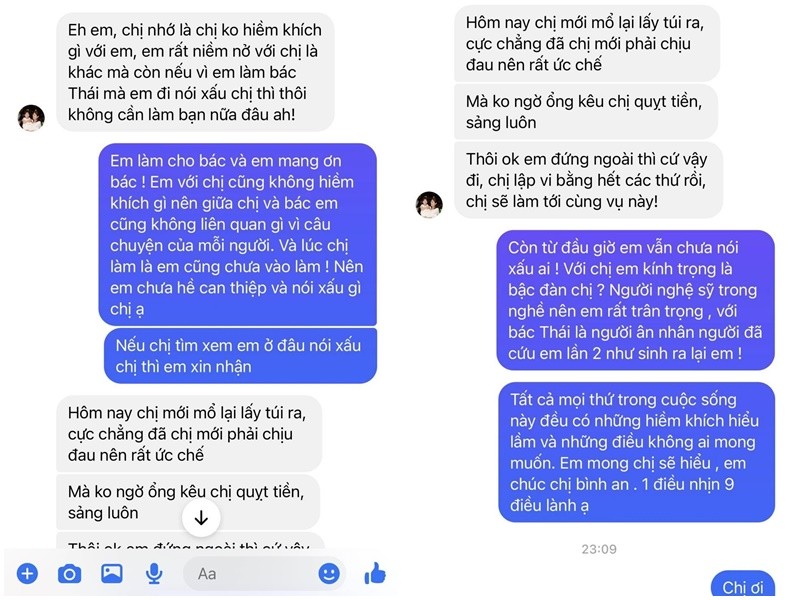 Dang Thu Thao buc xuc khi bi Pha Le loi vao on ao-Hinh-3