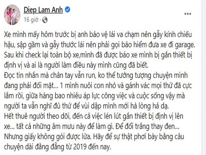 Diep Lam Anh run ray khi phat hien xe hoi bi gan dinh vi-Hinh-2