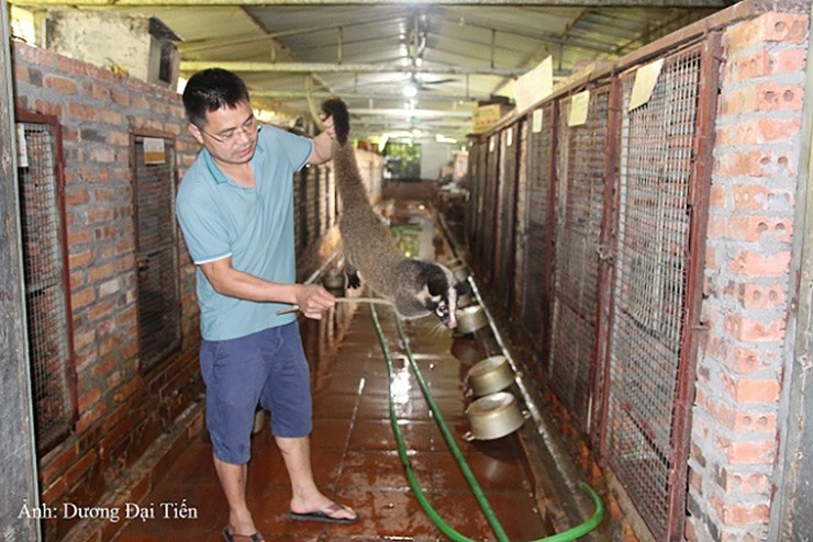 Nuoi loai thu la ua bong toi, ban lam dac san thu tien ty/nam-Hinh-9