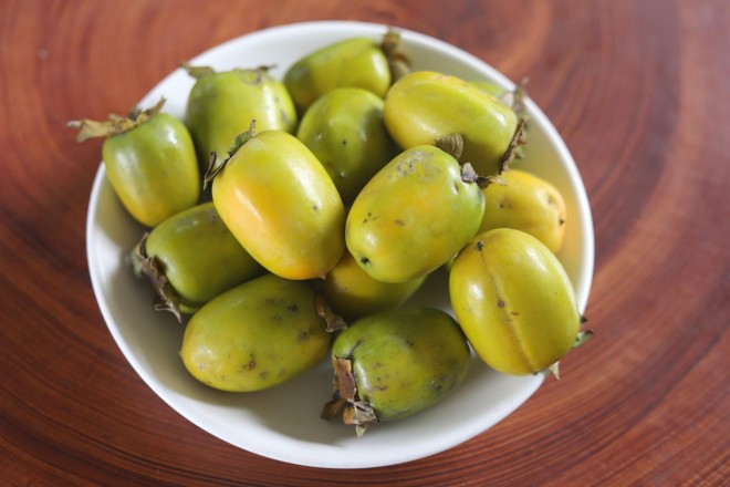 Trong cay lay bong mat, gio bong thu lai tram trieu nhan tenh-Hinh-10