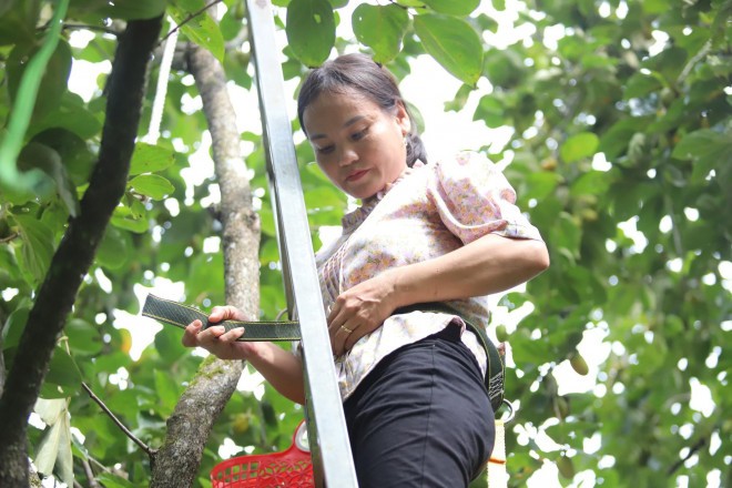 Trong cay lay bong mat, gio bong thu lai tram trieu nhan tenh-Hinh-3