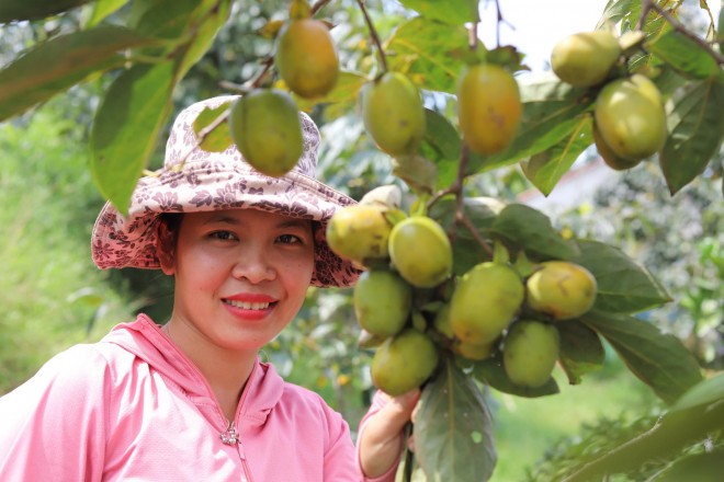 Trong cay lay bong mat, gio bong thu lai tram trieu nhan tenh-Hinh-5