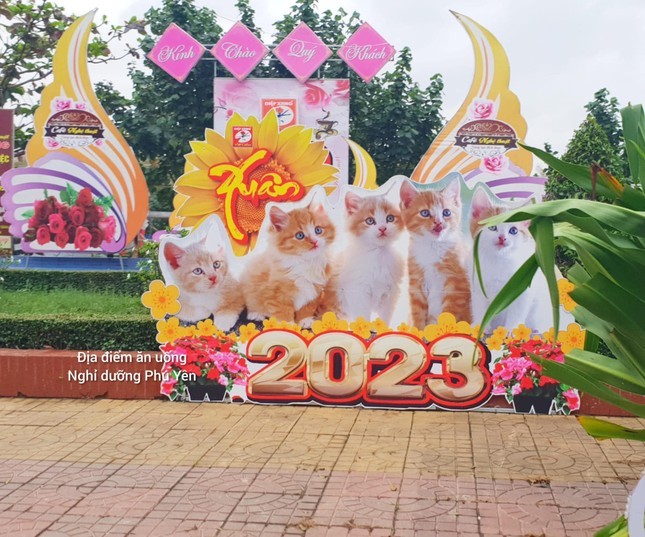 Linh vat Tet 2023: Ngoi vuong thuoc ve meo Ben Tre!-Hinh-7