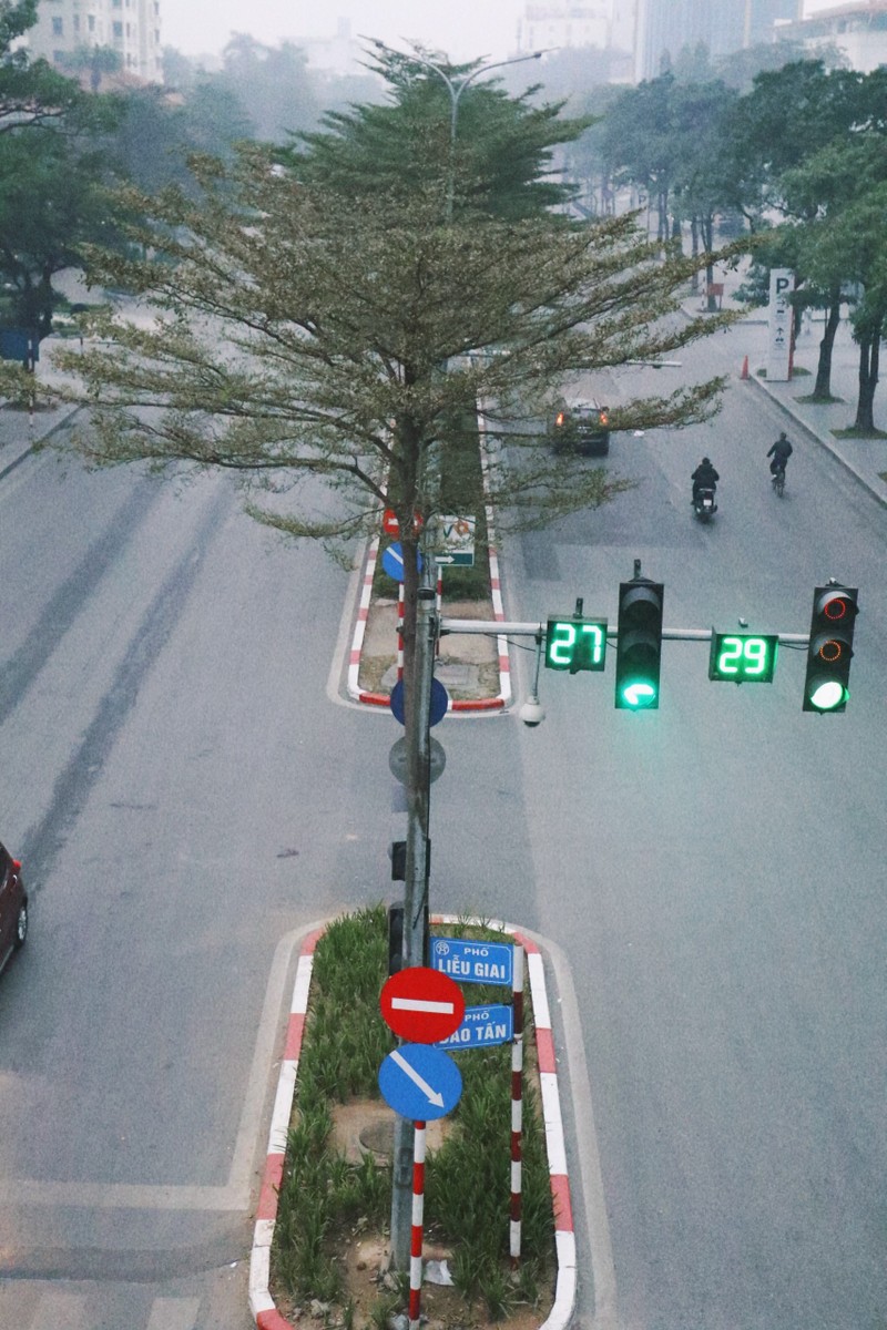 Ha Noi vang lang sang mung 1 Tet, nguoi dan xuat hanh du Xuan muon-Hinh-4