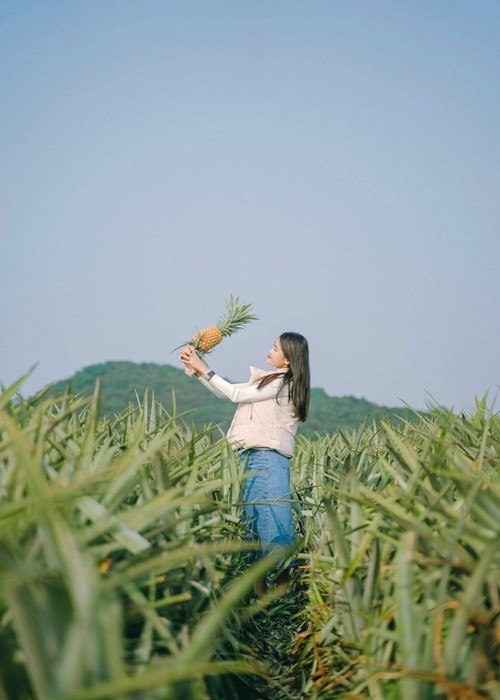 Gioi tre ru nhau check-in doi dua day tho mong tai Ninh Binh