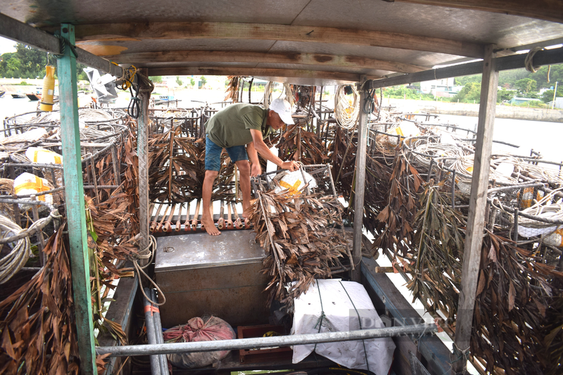 Bay loai ca muc cuc ngon, dan bien Co To kiem tien trieu/ dem-Hinh-6