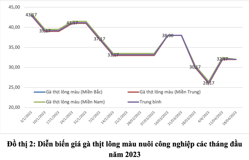 Ga thai loai tu Thai Lan, qua Campuchia vao Viet Nam gia sieu re