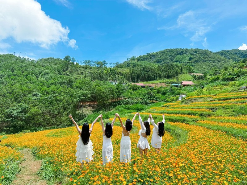 Dong hoa trong tren ruong bac thang, dep nhu co tich o Hoa Binh-Hinh-6