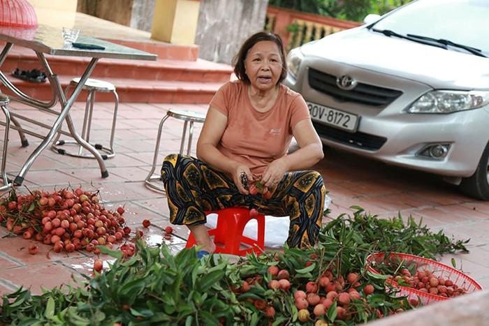 Vai thieu Thanh Ha mua buon 15 nghin/kg, vua mat mua vua mat gia-Hinh-10