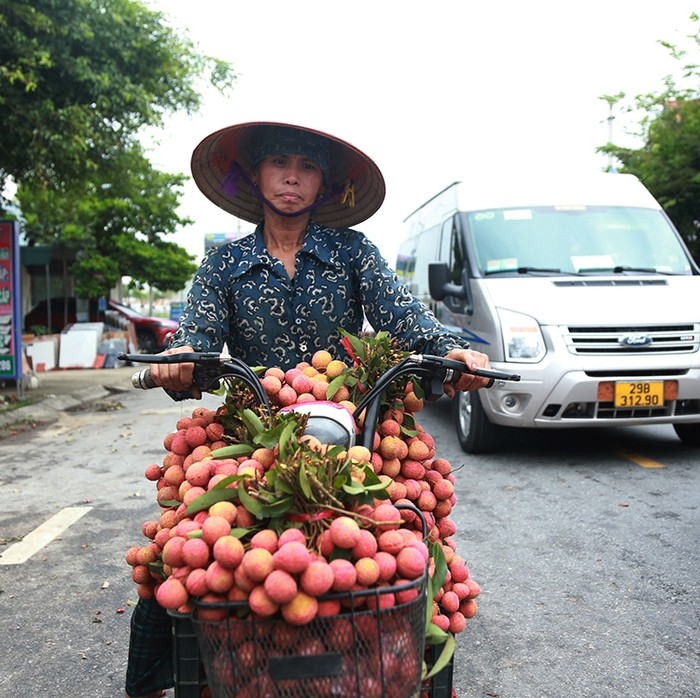 Vai thieu Thanh Ha mua buon 15 nghin/kg, vua mat mua vua mat gia-Hinh-3