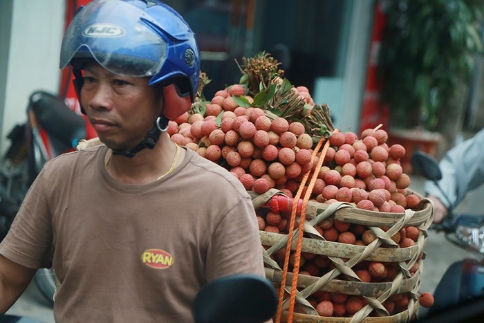 Vai thieu Thanh Ha mua buon 15 nghin/kg, vua mat mua vua mat gia-Hinh-4