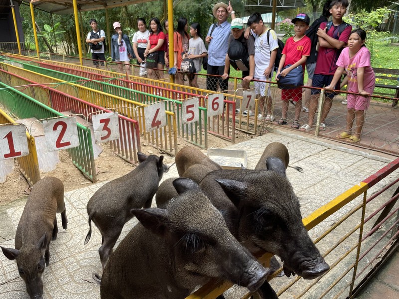 Giai nhiet mua he mat lanh voi cong vien thac Yang Bay-Hinh-13