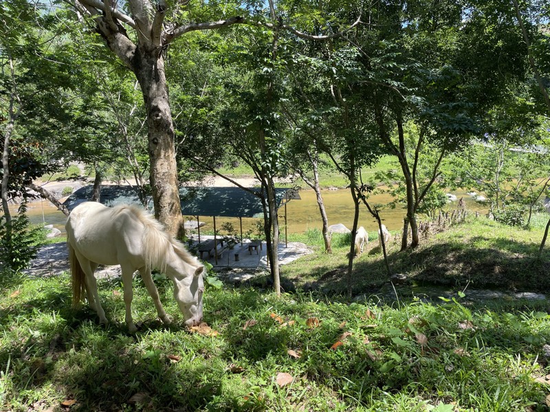 Giai nhiet mua he mat lanh voi cong vien thac Yang Bay-Hinh-2