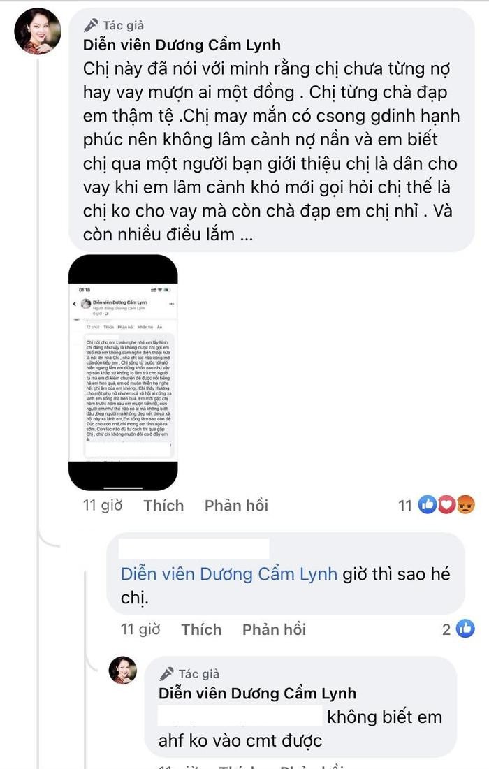 Vay tien khong thanh, Duong Cam Lynh tam su bi ai do 