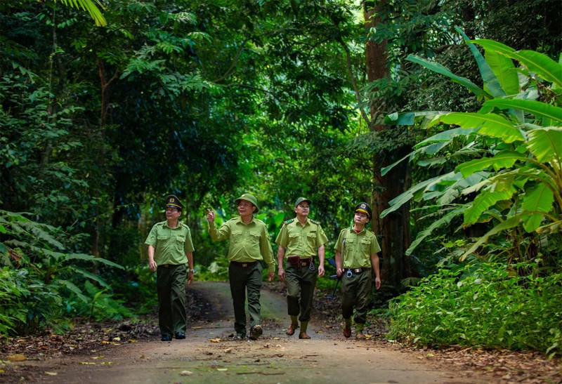 Kham pha thien nhien hoang da tai khu rung hang trieu nam tuoi-Hinh-3