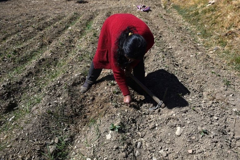 Ho nuoc ngot cao nhat the gioi Titicaca kho can vi nang nong-Hinh-6