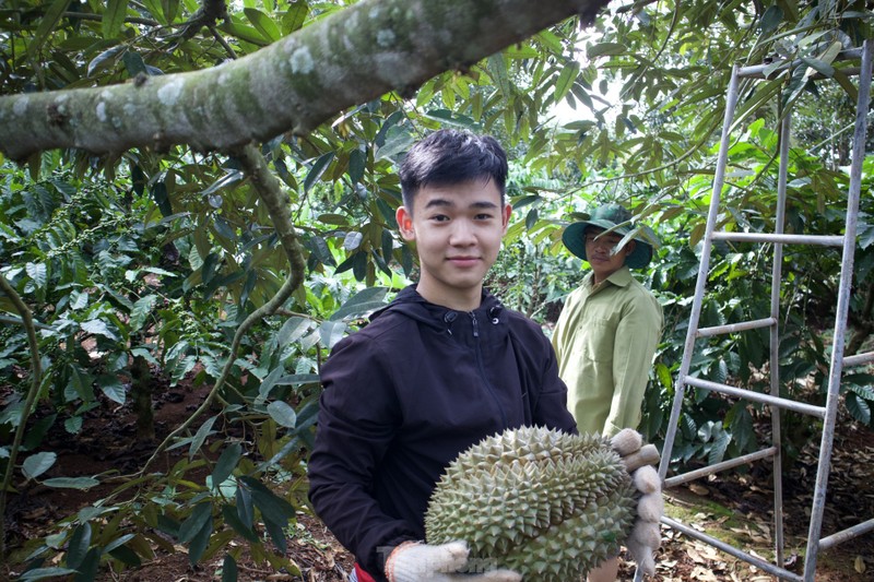 Kiem tien trieu moi ngay nho nghe go loai qua day gai-Hinh-10