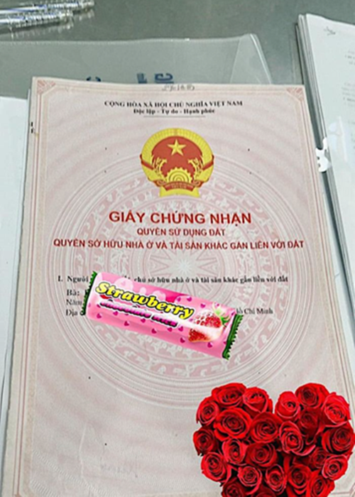 Dan my nhan Viet doc than, la trum bat dong san-Hinh-9