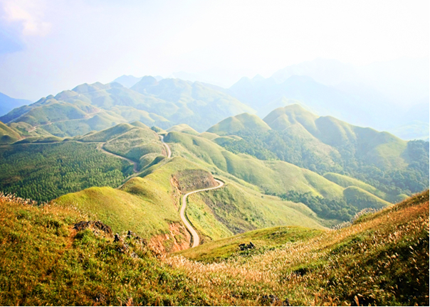 Du lich trai nghiem mua co lau bien gioi-Hinh-2