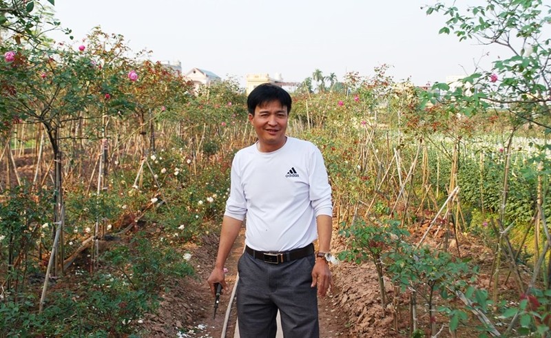 Anh nong dan tra luong cao cho minh bang trong hoa hong co Sa Pa