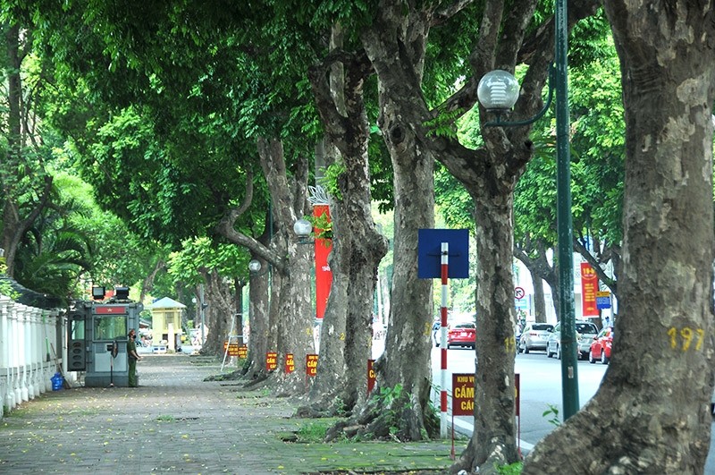 Ha Noi diu dang mua Thu-Hinh-3