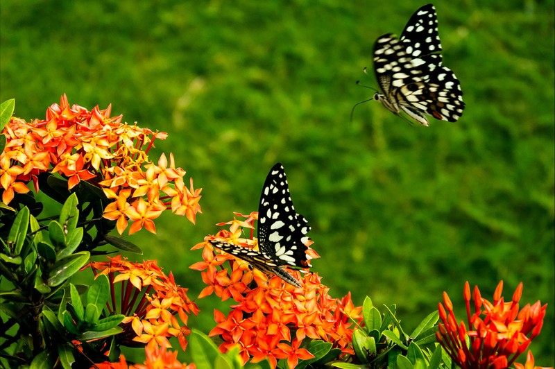 Ai sinh thang Am lich nay nhanh tay kiem tien, nam nay thoat ngheo-Hinh-3