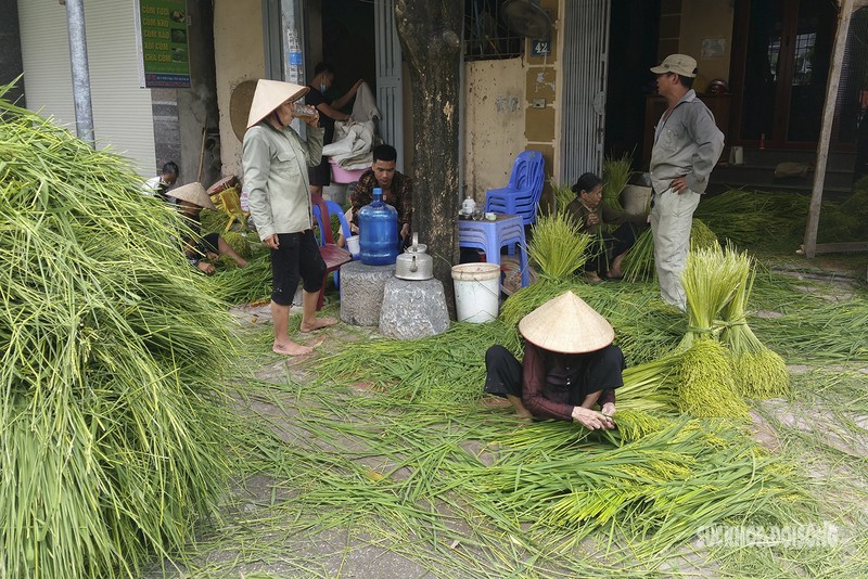 Vao lang Me Tri xem nguoi dan “luyen” com, nghe tieng chay tham thinh-Hinh-2