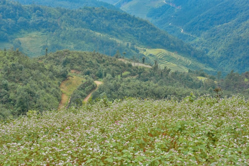 Trai nghiem tuyet voi khi den Ha Giang-Hinh-3