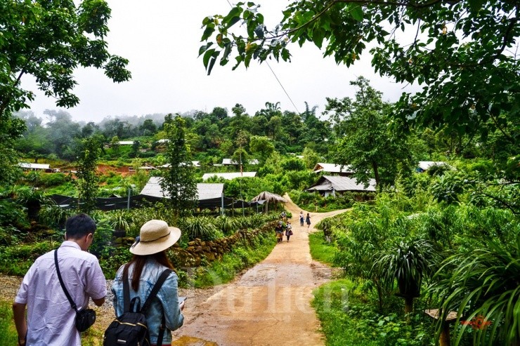 Den Suoi co vang trai nghiem giac ngu trong may gio-Hinh-13