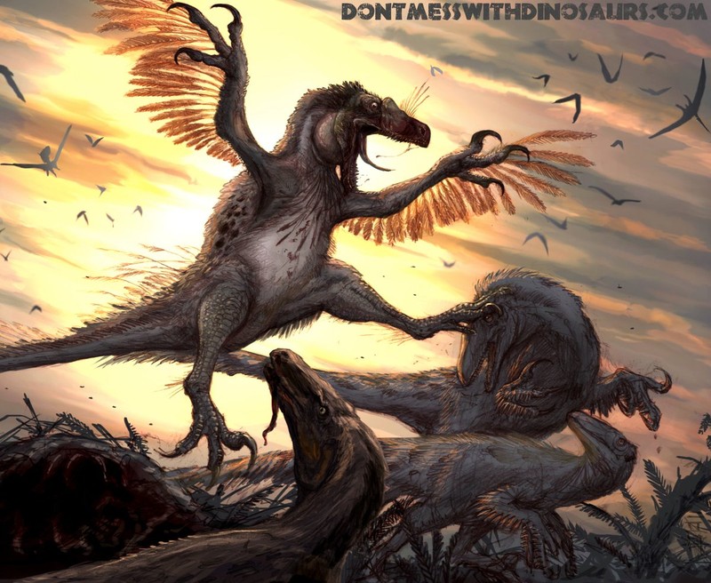 Tim hieu ve Deinonychus: Loai khung long so huu cu da chet nguoi-Hinh-2